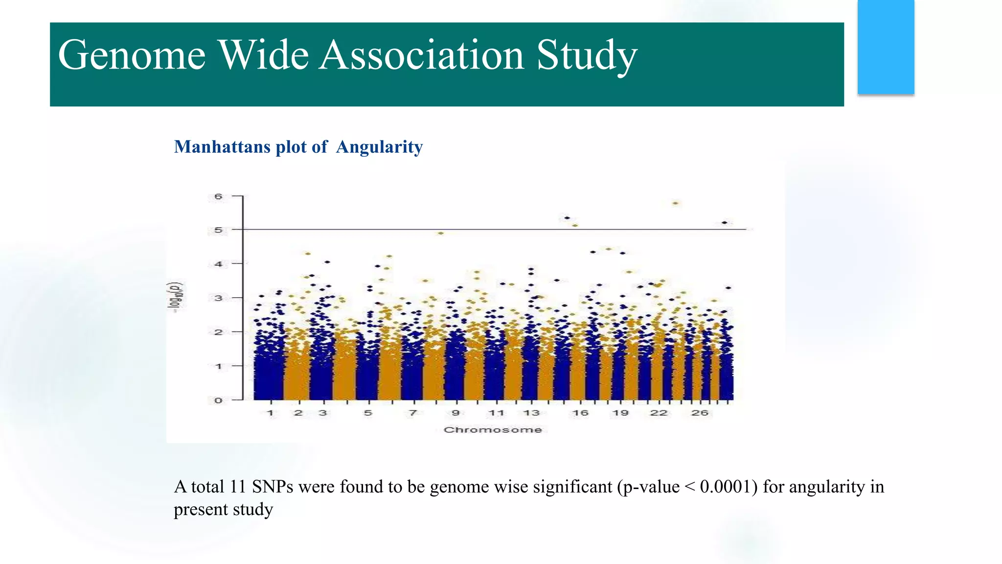 Manhattans plot of Angularity
A total 11 SNPs were found to be genome wise significant (p-value < 0.0001) for angularity in
present study
Genome Wide Association Study
 