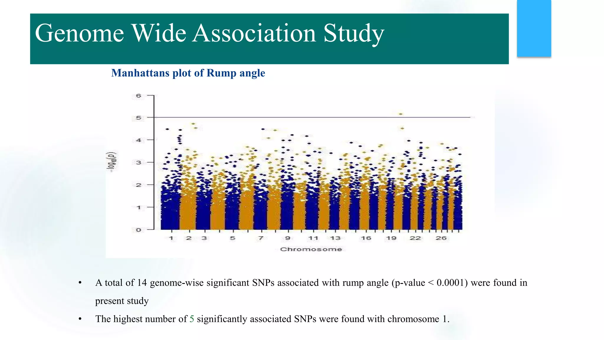 Manhattans plot of Rump angle
• A total of 14 genome-wise significant SNPs associated with rump angle (p-value < 0.0001) were found in
present study
• The highest number of 5 significantly associated SNPs were found with chromosome 1.
Genome Wide Association Study
 
