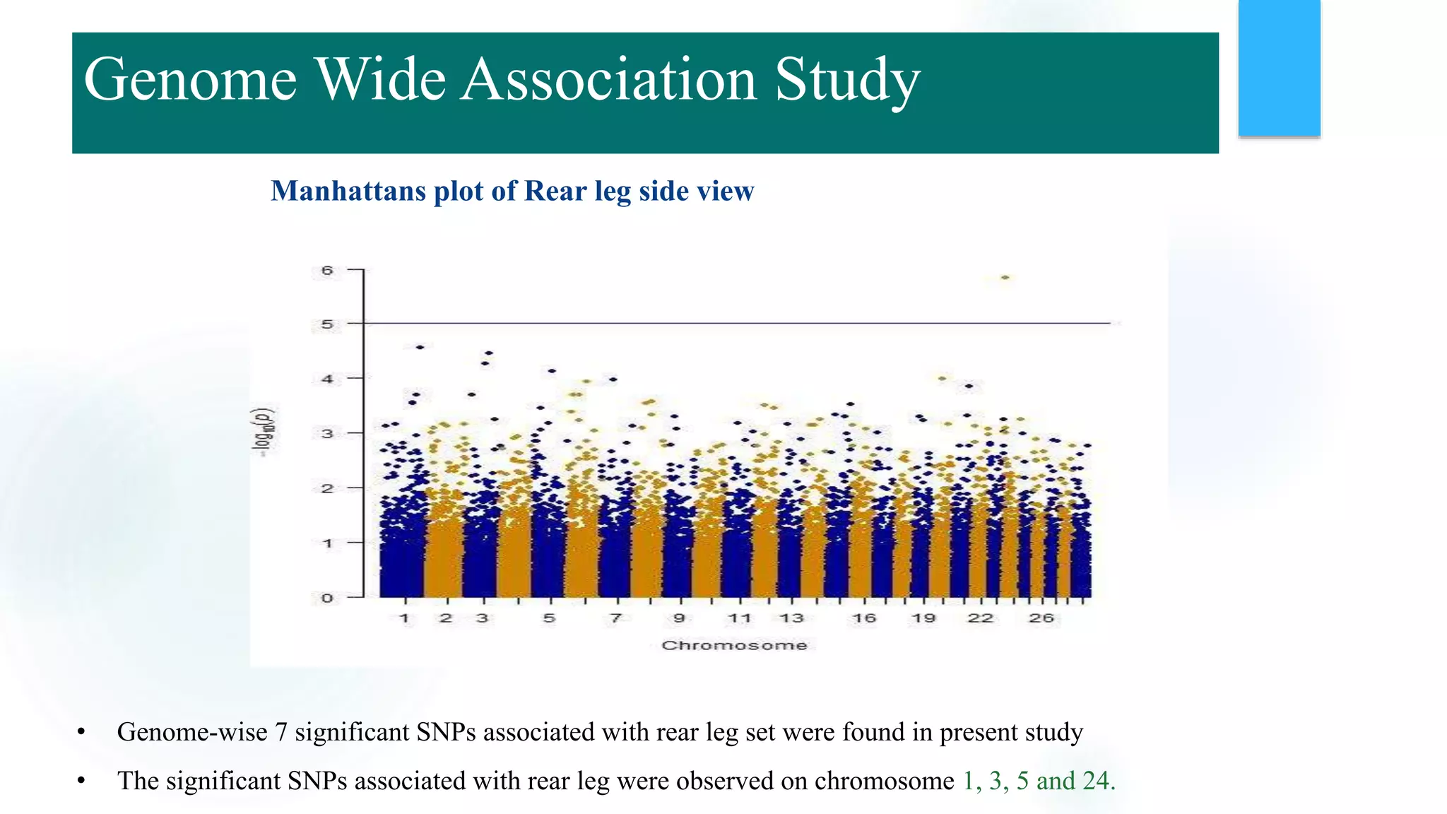 Manhattans plot of Rear leg side view
• Genome-wise 7 significant SNPs associated with rear leg set were found in present study
• The significant SNPs associated with rear leg were observed on chromosome 1, 3, 5 and 24.
Genome Wide Association Study
 