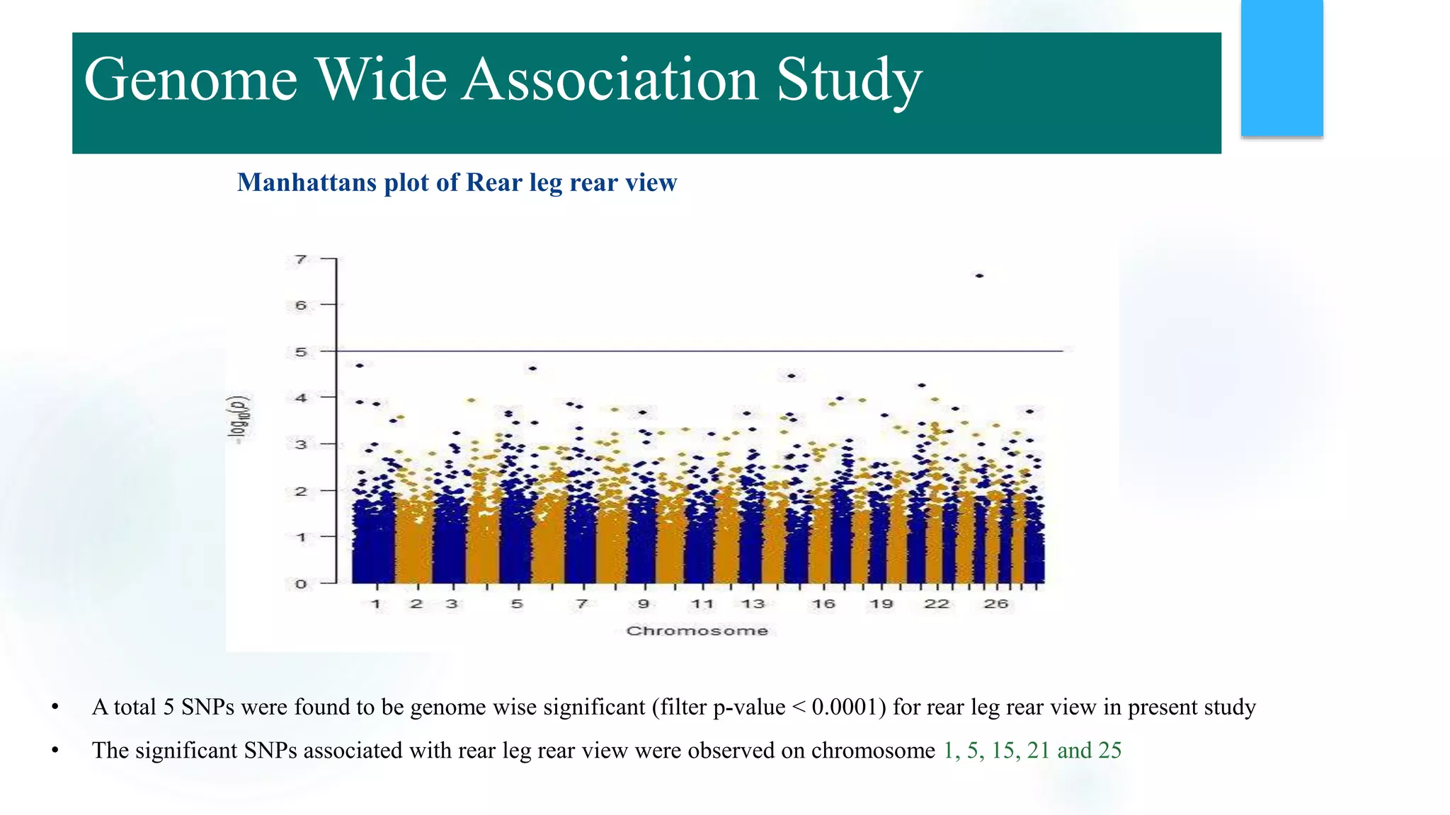 Manhattans plot of Rear leg rear view
• A total 5 SNPs were found to be genome wise significant (filter p-value < 0.0001) for rear leg rear view in present study
• The significant SNPs associated with rear leg rear view were observed on chromosome 1, 5, 15, 21 and 25
Genome Wide Association Study
 