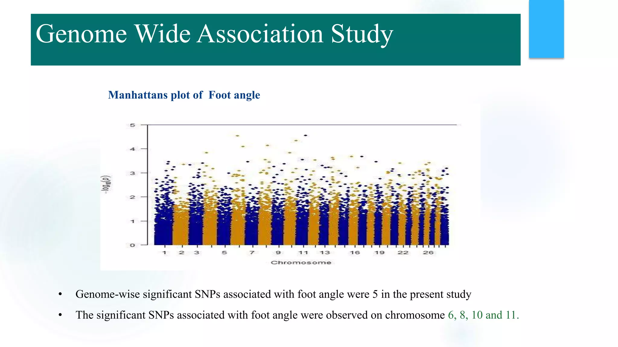 Manhattans plot of Foot angle
• Genome-wise significant SNPs associated with foot angle were 5 in the present study
• The significant SNPs associated with foot angle were observed on chromosome 6, 8, 10 and 11.
Genome Wide Association Study
 