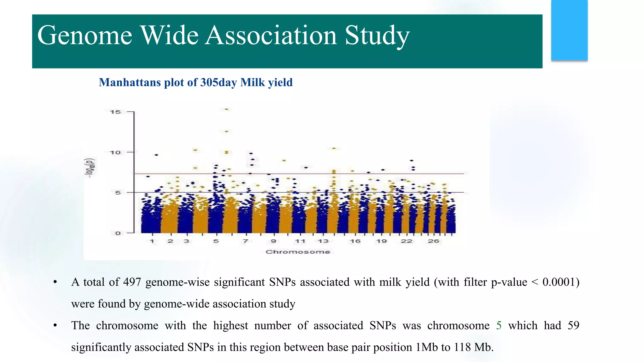 Manhattans plot of 305day Milk yield
• A total of 497 genome-wise significant SNPs associated with milk yield (with filter p-value < 0.0001)
were found by genome-wide association study
• The chromosome with the highest number of associated SNPs was chromosome 5 which had 59
significantly associated SNPs in this region between base pair position 1Mb to 118 Mb.
Genome Wide Association Study
 