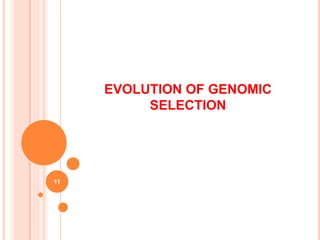EVOLUTION OF GENOMIC
SELECTION
11
 