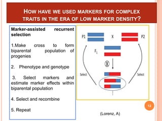 HOW HAVE WE USED MARKERS FOR COMPLEX
TRAITS IN THE ERA OF LOW MARKER DENSITY?
Marker-assisted recurrent
selection
1.Make cross to form
biparental population of
progenies
2. Phenotype and genotype
3. Select markers and
estimate marker effects within
biparental population
4. Select and recombine
5. Repeat
12
(Lorenz, A)
 