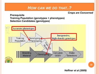 HOW CAN WE DO THAT..?
Prerequisite
Training Population (genotypes + phenotypes)
Selection Candidates (genotypes)
Crops are Concerned
Heffner et al (2009)
22
 