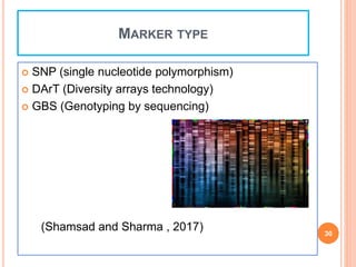 MARKER TYPE
 SNP (single nucleotide polymorphism)
 DArT (Diversity arrays technology)
 GBS (Genotyping by sequencing)
(Shamsad and Sharma , 2017) 30
 