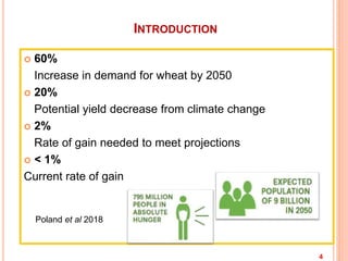 INTRODUCTION
 60%
Increase in demand for wheat by 2050
 20%
Potential yield decrease from climate change
 2%
Rate of gain needed to meet projections
 < 1%
Current rate of gain
4
Poland et al 2018
 