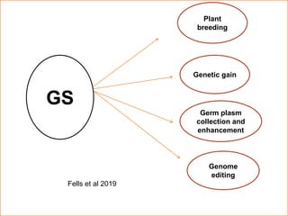 GS
Plant
breeding
Genetic gain
Germ plasm
collection and
enhancement
Genome
editing
44
Fells et al 2019
 