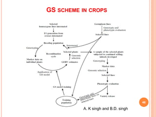 GS SCHEME IN CROPS
46
A. K singh and B.D. singh
 