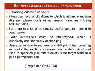 GERMPLASM COLLECTION AND ENHANCEMENT
 Enhancing adaptive capacity
 Introgress novel allelic diversity which is absent in modern
elite germplasm pools using genetic resources (Huang
and Han 2014)
 But there is a lot of potentially useful variation locked in
gene banks
 Exotic accessions must be phenotyped, which is
technically and financially challenging
 Using genome-wide markers and GS principles, breeding
values for the exotic accessions can be determined and
used to specifically reinstate diversity for target traits in a
given germplasm pool
(Longin and Reif 2014)
55
 