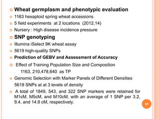  Wheat germplasm and phenotypic evaluation
 1163 hexaploid spring wheat accessions
 5 field experiments at 2 locations (2012,14)
 Nursery : High disease incidence pressure
 SNP genotyping
 Illumina iSelect 9K wheat assay
 5619 high-quality SNPs
 Prediction of GEBV and Assessment of Accuracy
 Effect of Training Population Size and Composition
1163, 210,478,640 as TP
 Genomic Selection with Marker Panels of Different Densities
5619 SNPs at at 3 levels of density
 A total of 1849, 543, and 322 SNP markers were retained for
M1cM, M5cM, and M10cM, with an average of 1 SNP per 3.2,
9.4, and 14.8 cM, respectively. 57
 
