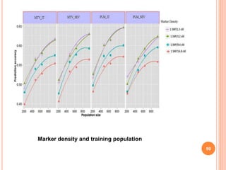 59
Marker density and training population
 