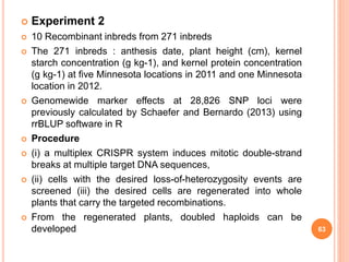  Experiment 2
 10 Recombinant inbreds from 271 inbreds
 The 271 inbreds : anthesis date, plant height (cm), kernel
starch concentration (g kg-1), and kernel protein concentration
(g kg-1) at five Minnesota locations in 2011 and one Minnesota
location in 2012.
 Genomewide marker effects at 28,826 SNP loci were
previously calculated by Schaefer and Bernardo (2013) using
rrBLUP software in R
 Procedure
 (i) a multiplex CRISPR system induces mitotic double-strand
breaks at multiple target DNA sequences,
 (ii) cells with the desired loss-of-heterozygosity events are
screened (iii) the desired cells are regenerated into whole
plants that carry the targeted recombinations.
 From the regenerated plants, doubled haploids can be
developed 63
 