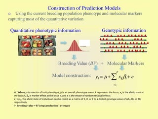 Range: -0.0190 ~ 0
Mean: -0.00021
SD: 0.00380
Model construction:
Breeding Value (BV) + Molecular Markers
p
o Using the current breeding population phenotype and molecular markers
capturing most of the quantitative variation
Quantitative phenotypic information Genotypic information
Construction of Prediction Models
 Where, y is a vector of trait phenotype, μ is an overall phenotype mean, k represents the locus, xk is the allelic state at
the locus k, βk is marker effect at the locus k, and e is the vector of random residual effects
 In xk, the allelic state of individuals can be coded as a matrix of 1, 0, or 1 to a diploid genotype value of AA, AB, or BB,
respectively
 Breeding value = h2 (crop production - average)
yk   xkk e
1
 