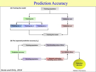 Desta and Ortiz, 2014
Prediction Accuracy
 