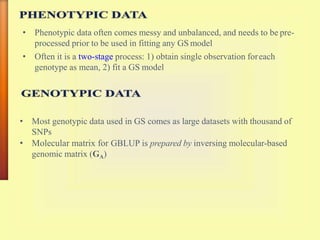 • Phenotypic data often comes messy and unbalanced, and needs to be pre-
processed prior to be used in fitting any GS model
• Often it is a two-stage process: 1) obtain single observation foreach
genotype as mean, 2) fit a GS model
• Most genotypic data used in GS comes as large datasets with thousand of
SNPs
• Molecular matrix for GBLUP is prepared by inversing molecular-based
genomic matrix (GA)
 