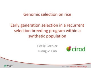 Genomic selection on rice 
Early generation selection in a recurrent 
selection breeding program within a 
synthetic population 
Since 1967 / Science to cultivate change 
Cécile Grenier 
Tuong-Vi Cao 
 
