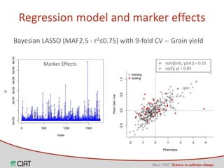 Genomic selection on rice