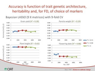 Genomic selection on rice