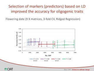 Genomic selection on rice