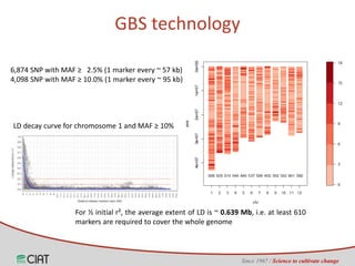 Genomic selection on rice