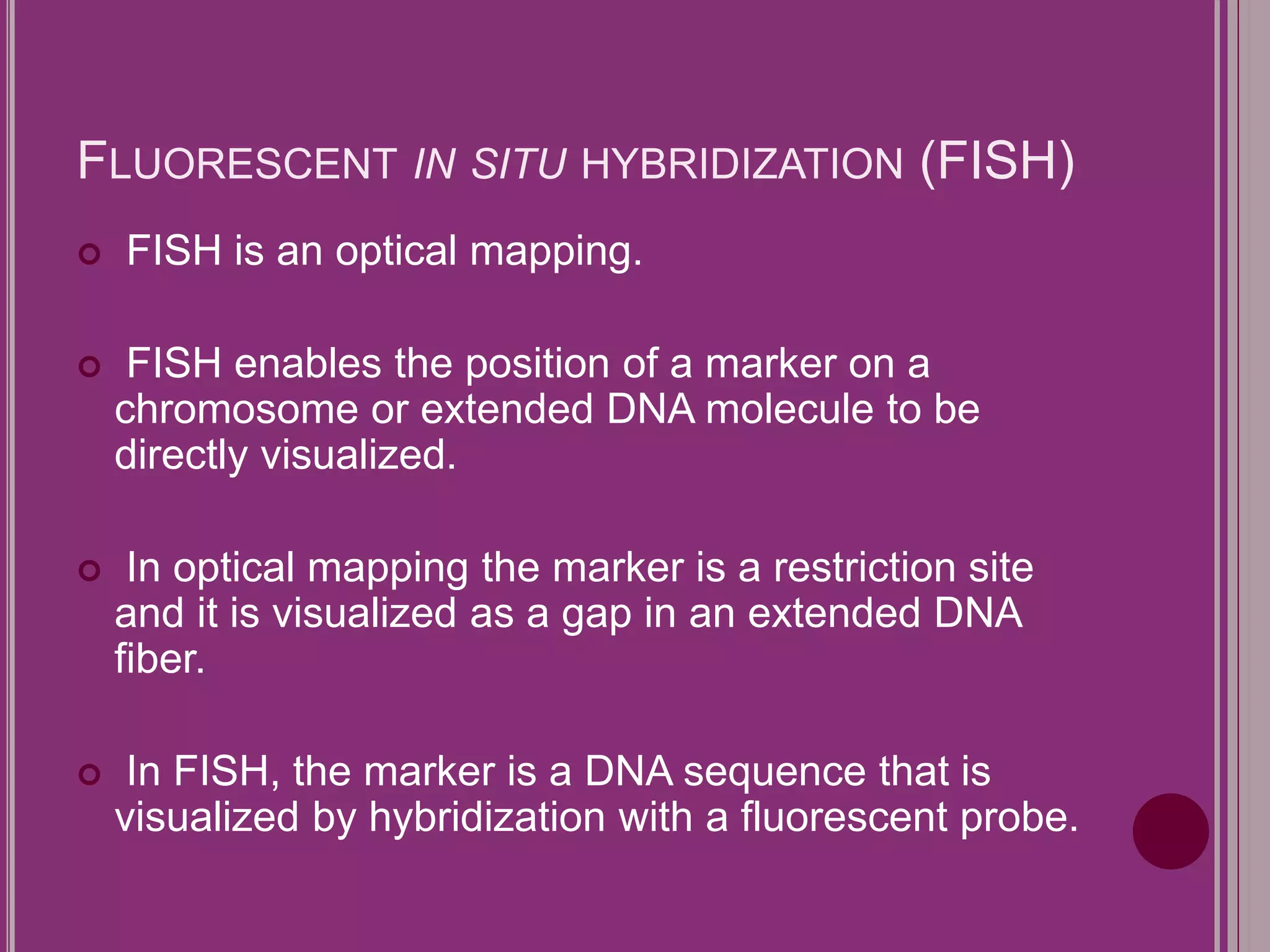 FLUORESCENT IN SITU HYBRIDIZATION (FISH) 
 FISH is an optical mapping. 
 FISH enables the position of a marker on a 
chromosome or extended DNA molecule to be 
directly visualized. 
 In optical mapping the marker is a restriction site 
and it is visualized as a gap in an extended DNA 
fiber. 
 In FISH, the marker is a DNA sequence that is 
visualized by hybridization with a fluorescent probe. 
 