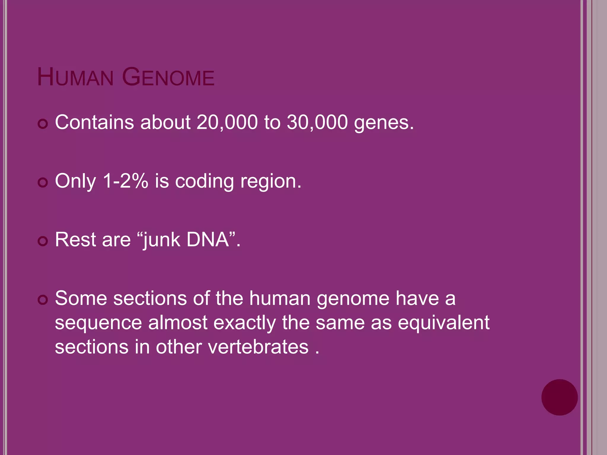 HUMAN GENOME 
 Contains about 20,000 to 30,000 genes. 
 Only 1-2% is coding region. 
 Rest are “junk DNA”. 
 Some sections of the human genome have a 
sequence almost exactly the same as equivalent 
sections in other vertebrates . 
 