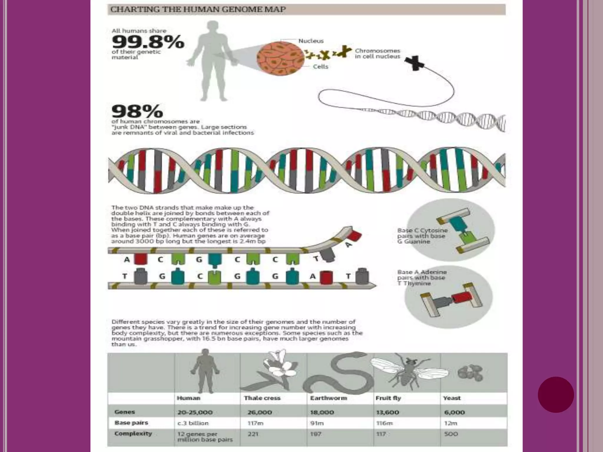 Construction of human gene map through map integration- from genetic map to physical map to sequence map