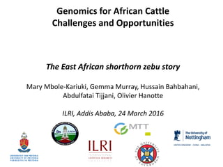Genomics for African Cattle
Challenges and Opportunities
The East African shorthorn zebu story
Mary Mbole-Kariuki, Gemma Murray, Hussain Bahbahani,
Abdulfatai Tijjani, Olivier Hanotte
ILRI, Addis Ababa, 24 March 2016
 