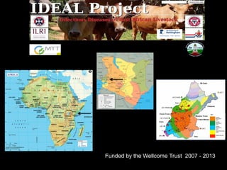 Genomics for African cattle challenges and opportunities: The East African shorthorn zebu story