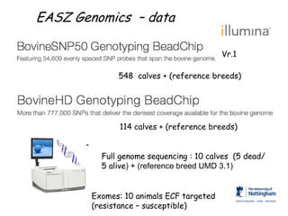 Genomics for African cattle challenges and opportunities: The East African shorthorn zebu story