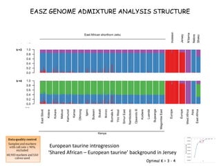 Genomics for African cattle challenges and opportunities: The East African shorthorn zebu story