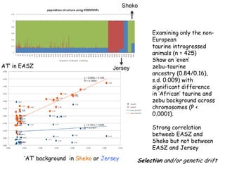 Genomics for African cattle challenges and opportunities: The East African shorthorn zebu story