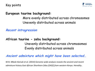 Genomics for African cattle challenges and opportunities: The East African shorthorn zebu story