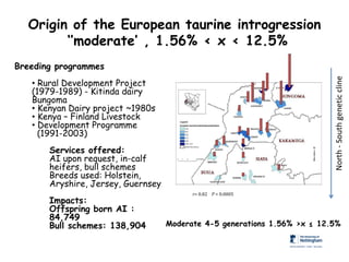 Genomics for African cattle challenges and opportunities: The East African shorthorn zebu story