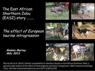 Genomics for African cattle challenges and opportunities: The East African shorthorn zebu story