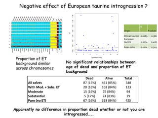 Genomics for African cattle challenges and opportunities: The East African shorthorn zebu story