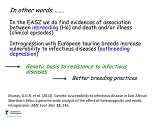 Genomics for African cattle challenges and opportunities: The East African shorthorn zebu story