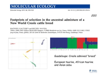 Genomics for African cattle challenges and opportunities: The East African shorthorn zebu story