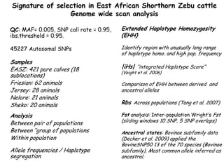 Genomics for African cattle challenges and opportunities: The East African shorthorn zebu story