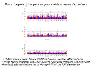 Genomics for African cattle challenges and opportunities: The East African shorthorn zebu story