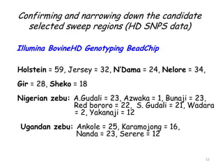 Genomics for African cattle challenges and opportunities: The East African shorthorn zebu story