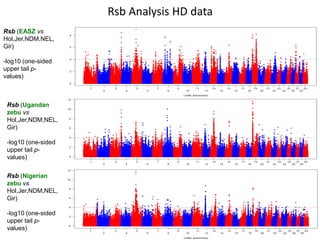 Genomics for African cattle challenges and opportunities: The East African shorthorn zebu story