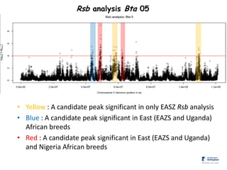 Genomics for African cattle challenges and opportunities: The East African shorthorn zebu story
