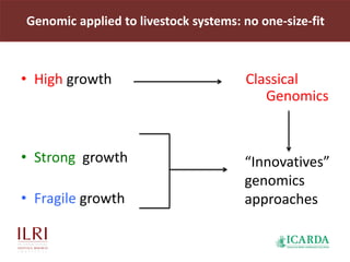Genomics for African cattle challenges and opportunities: The East African shorthorn zebu story
