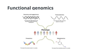 GENOMICS_functional_genomics_INTRODUCTION.pptx