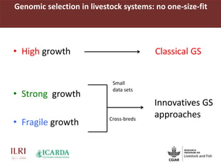 Genomic selection in livestock systems: no one-size-fit
• High growth Classical GS
• Strong growth
• Fragile growth
Innovatives GS
approaches
Small
data sets
Cross-breds
 