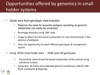 Opportunities offered by genomics in small
holder systems
• Quick wins from genotypic data includes
• Reduces the need for accurate pedigree recording as genomic
relationship can easily be computed
• Parentage discovery using SNP data
• Usage to determine the breed composition of cross-bred animals in the
absence of pedigree.
• Gives the opportunity to match different genotypes & management
system
• Using DGEA small holder data -- 1038 cows HD genotypes
• Successfully determined the breed composition of the animals using
admixture analysis
• Computed G matrix and undertake genomic predictions: GBLUP, SNP-
BLUP and BayesC & BayesCpi
 
