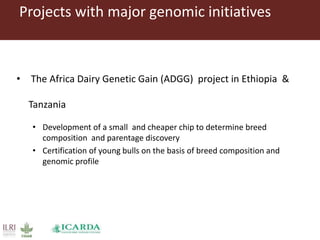 Genomics selection in livestock: ILRI–ICARDA perspectives