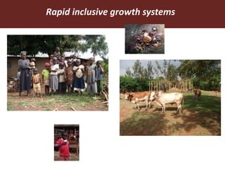 Genomics selection in livestock: ILRI–ICARDA perspectives